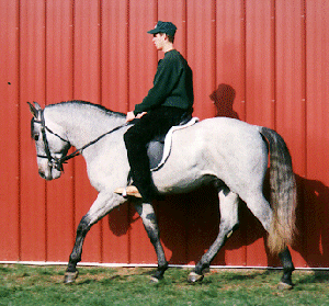 SPANIOL-NORMAN